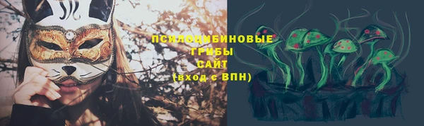 индика Абинск