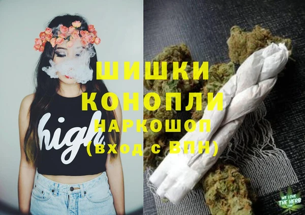 крисы Абдулино