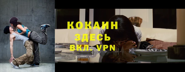 индика Абинск