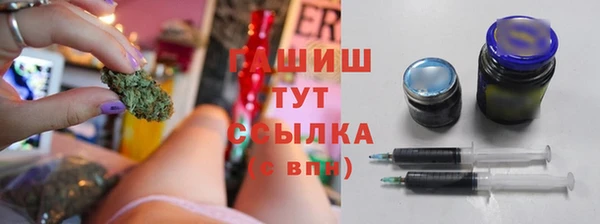 индика Абинск