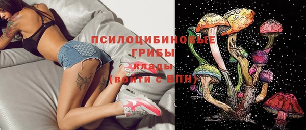 индика Абинск