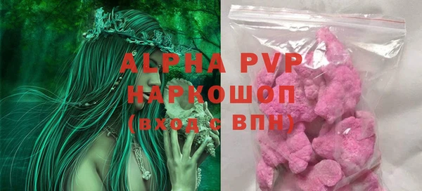 индика Абинск