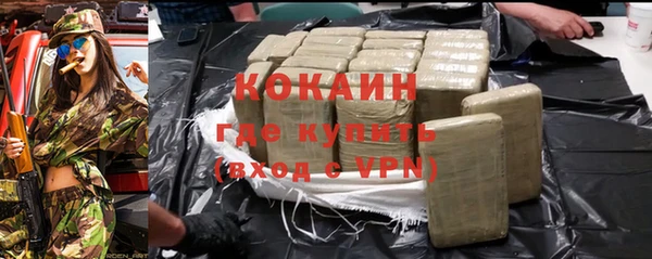 индика Абинск