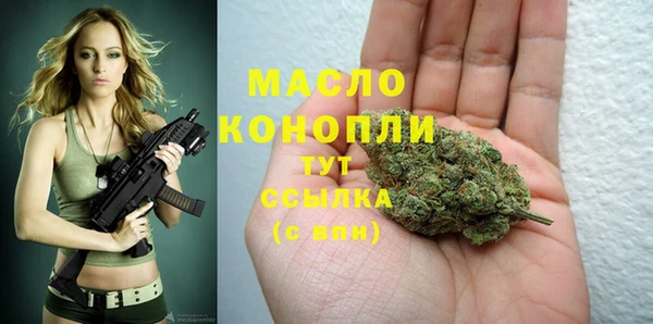 индика Абинск