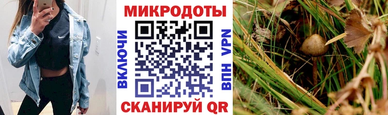 Галлюциногенные грибы прущие грибы Абинск